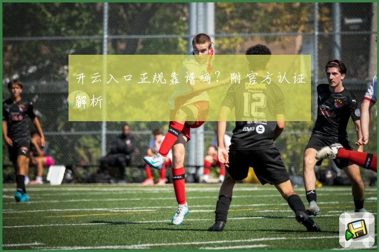 开云入口正规靠谱吗?附官方认证解析
