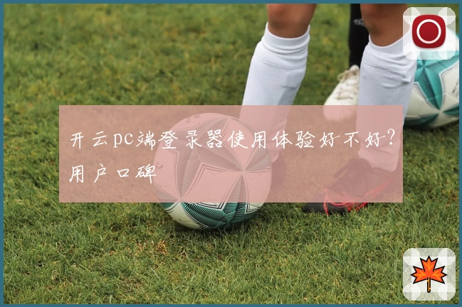 开云pc端登录器使用体验好不好?用户口碑