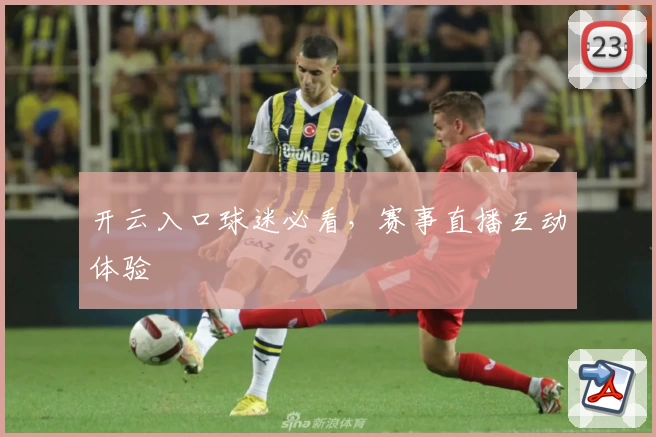 开云入口球迷必看，赛事直播互动体验