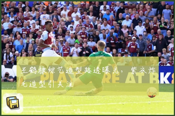 王鹤棣综艺造型路透曝光，紫衣炸毛造型引关注